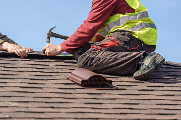 Best Roof Gutter Cleaning  in Scott Af, IL