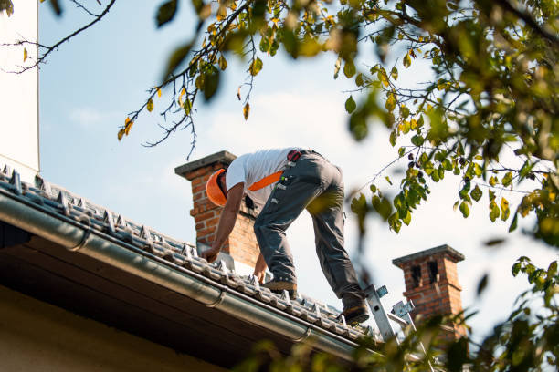 Best Local Roofing Companies  in Scott Af, IL
