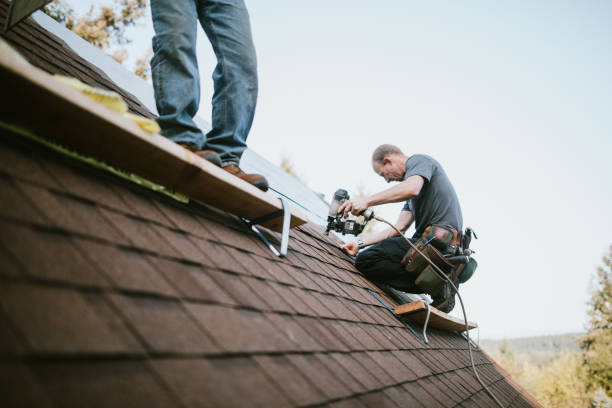 Best Roof Maintenance Services  in Scott Af, IL
